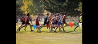 Hewston places 5th at State cross-country meet