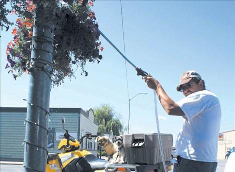 Greg Linse waters flower  baskets on Main Street  during a hot August  afternoon.  Linse volunteers his time to the task every day of the week.