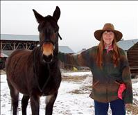 Celebrity 'Marathon Mule' makes his debut