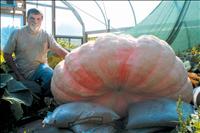 Polson farmer raises giant pumpkins with tender loving care