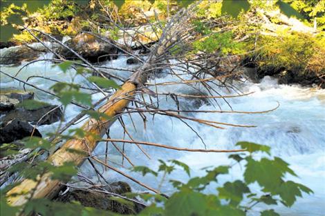 Native Lands and Wilderness Council gathers at SKC