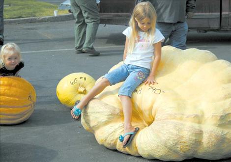 Seasonal event draws crowd in Ronan