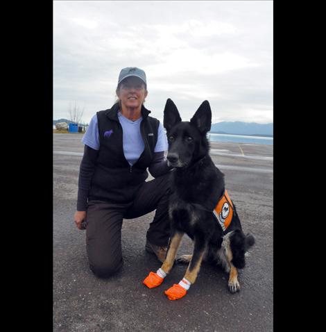 Tia, one of two canines trained to sniff out aquatic invasive species, was on the job Sunday in the checkpoint along Highway 93 south of Ronan.