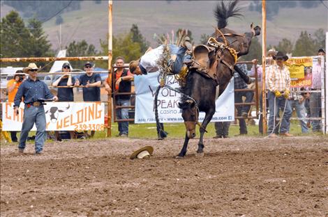 A saddle bronc rider is about to hit the dirt.