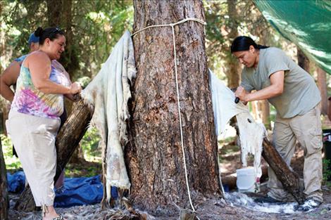 Nicole Tavenner/Valley Journal Deer hides are scraped before they are soaked in water, stretched, and dried.