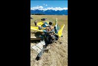 Airplane falls from sky