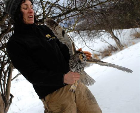 Owl researcher Jessica Larson calms a long-eared owl on a wintry day.