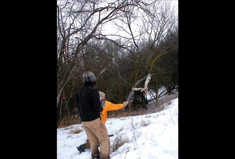 Holt and Larson release a long-eared owl after weighing, measuring and banding it.