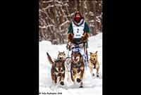 Polson teen races in Junior Iditarod
