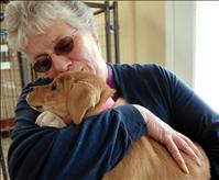Mission Valley Animal Shelter welcomes new director