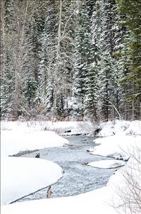 Non-resident recreation temporarily suspended on Flathead Reservation