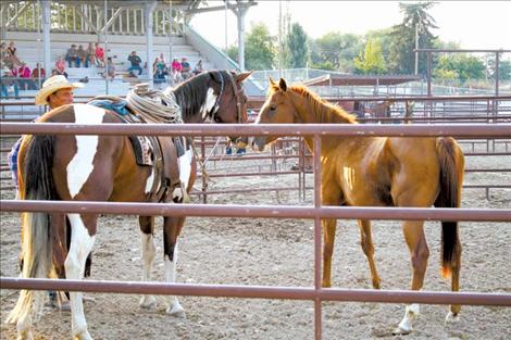 Trainers share horse sense in roundpen shootout