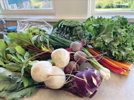 Grant funds will be used to expand market access - getting locally grown foods, like those pictured above, into larger institutions such as hospitals and universities.