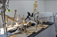 Artist strays from trademark style in new show
