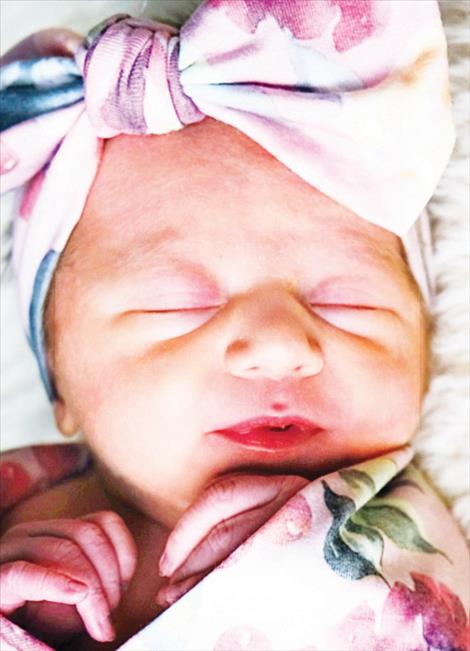 Adley Osborne