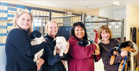 The Mission Valley Animal Shelter was able to improve their dog run with a grant from the GPCF. 