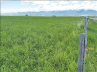 Conserving family farmland in the Mission Valley