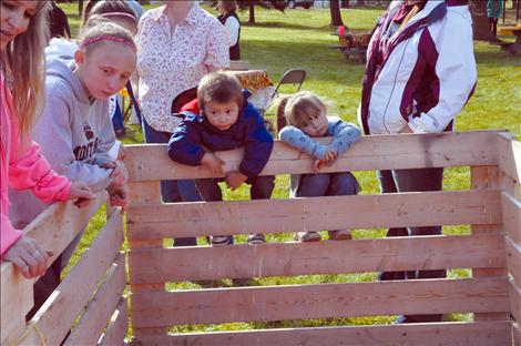 Xavier St. Clair and Milee Cordier hang on the fence waiting for the pig to do his business.