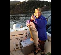 Anglers hook 2,201 lake trout in week 2