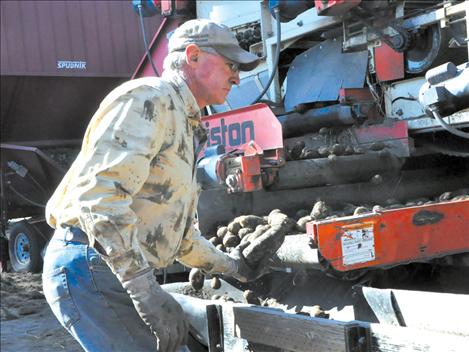 Ed Starkel lifts a rock from a separating machine. 