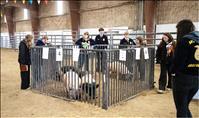 Montana FFA’s announces winners of  Annual State Convention