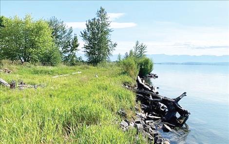 FWP developing visitor amenities at Somers Beach State Park on Flathead Lake