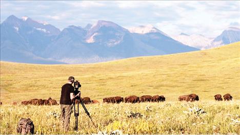 Buddy Squires photographs buffalo on the CSKT Bison Range in Montana for the upcoming Ken Burns documentary “The American Buffalo.” 