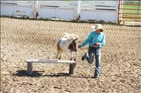 Lake County Fair celebrates summer