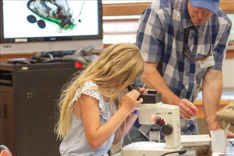 Lucy Love, 10, looks at Mysis shrimp from Flathead Lake under a microscope.