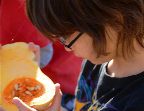 Ronan second grader Sean Burrafaco checks out the inside of a butternut squash.