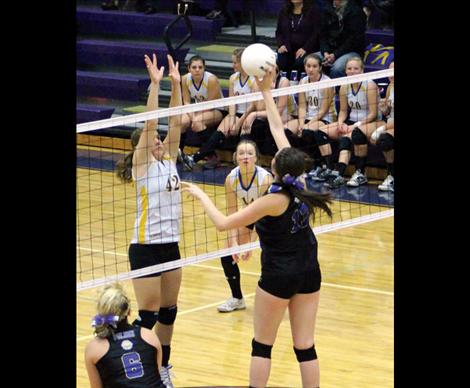 Lady Pirate Kaelyn Binder