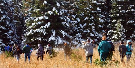 Two dozen Mission Middle School students hike into the forest collecting foliage that will be crafted into wreaths and garland.