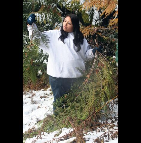 Dogs with Wings President Kristina McClure arranges boughs for the hike down the mountain.