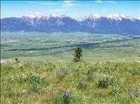 Mission Valley heritage, habitat protected