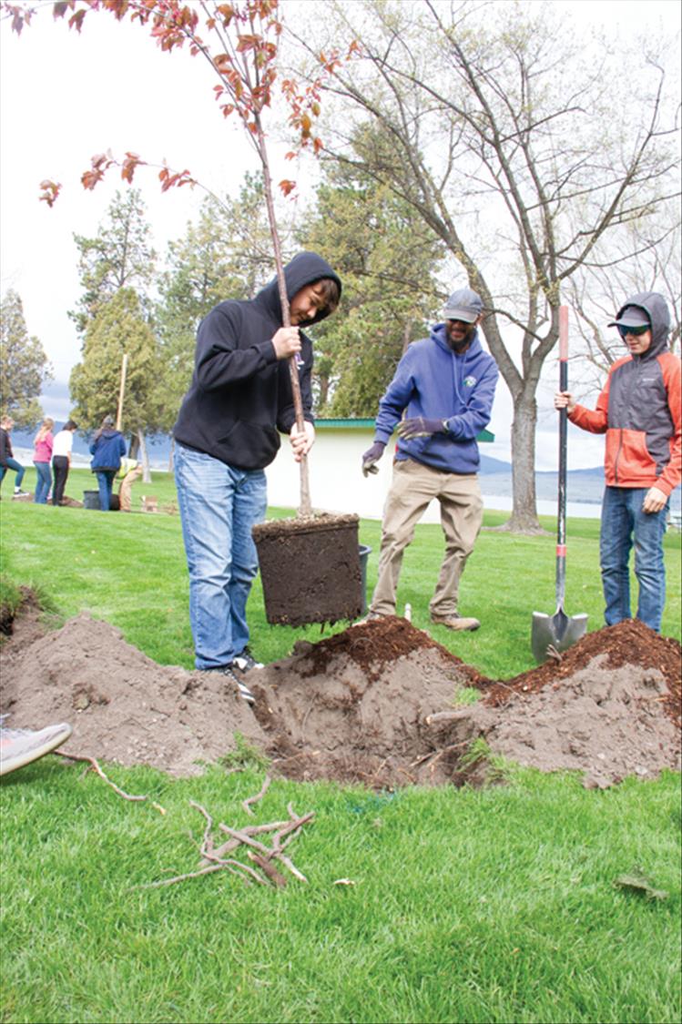Students planted three Spring Wonder Sargent Cherry Trees, named Johnson, George Bush and Cherry Balance, during Arbor Day with the help of city park officials, Shawn Morgan from Montana’s Department of Natural Resources and Conservation and John Campbell with Delaney’s Landscape Center.