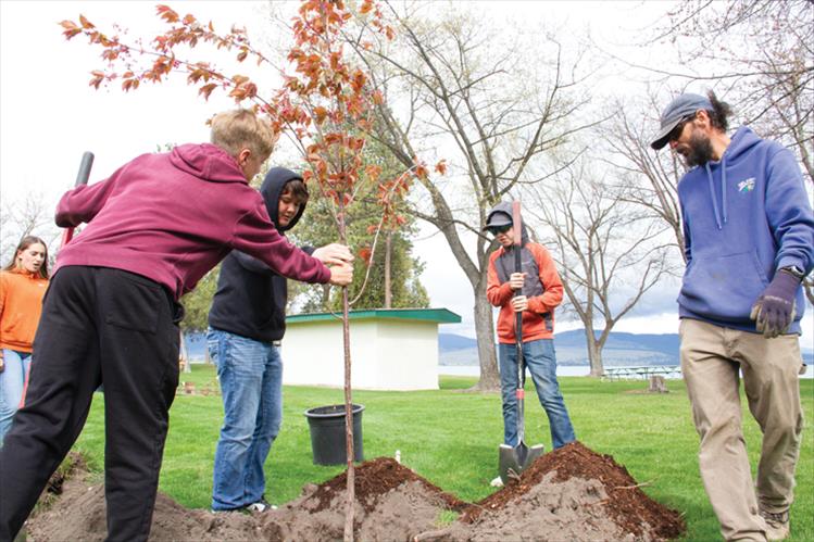 Students planted three Spring Wonder Sargent Cherry Trees, named Johnson, George Bush and Cherry Balance, during Arbor Day with the help of city park officials, Shawn Morgan from Montana’s Department of Natural Resources and Conservation and John Campbell with Delaney’s Landscape Center.