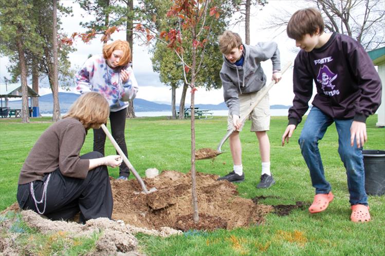 Polson eighth graders Zoe Schroeder, Zoey Rogers, Grayden Reinhardt and Jack Huffine help plant trees at Boettcher Park on Friday, April 26 in celebration of Arbor Day.