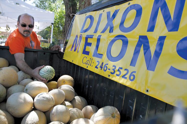 Greg Hettick, son of Dixon Melons owner Harley Hettick, searches for the perfect melon for a customer.