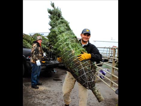 Ronan Ag Instructor Reese McAlpin helps unload Christmas trees.