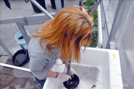 Student Debra Olson washes fresh-picked radishes.