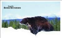 Proposed threatened species listing could affect wolverines