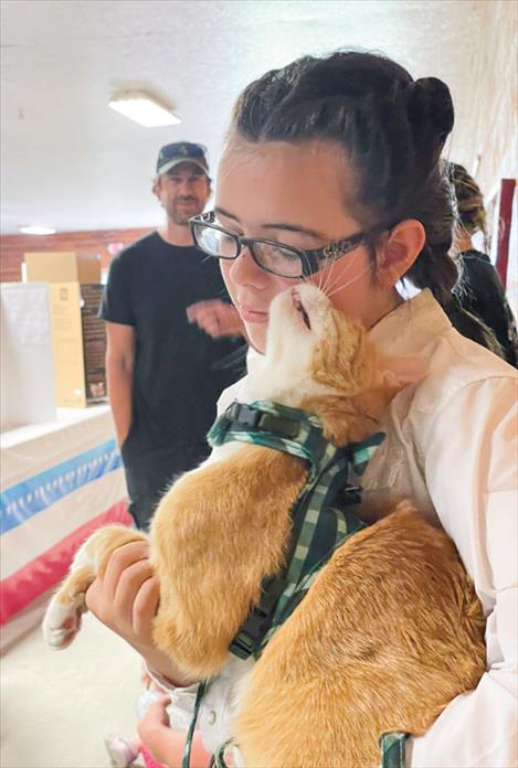 “Oliver” the cat seeks reassurance from his owner Aubrey Blevins prior to the July 24 cat show