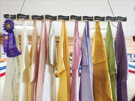 a winning exhibit shows colors from natural dyes