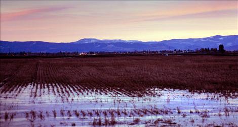 When temperatures warm and freeze repeatedly as they have done this winter, fields turn into solid sheets of ice, making conditions hazardous for ranchers and livestock. 