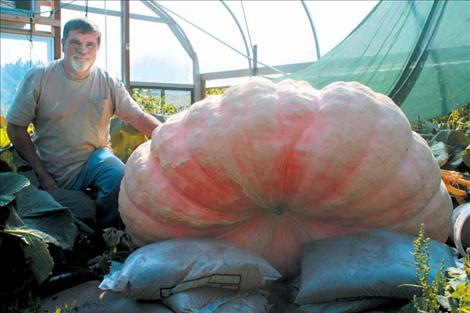 Emmett May shows off one of his Atlantic Giant Pumpkins. When this photo was taken Aug. 29, the massive pink pumpkin was growing at a rate of 13 pounds a day. 