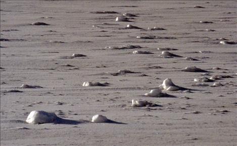 Snow rollers appear when light, wet snow falls onto slippery ice, followed by wind.