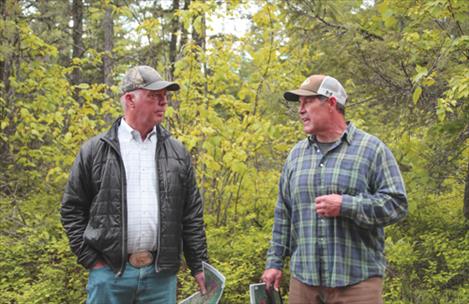 Gov. Gianforte talks with a DNRC state forester at a forest management project in Kalispell in May 2024.