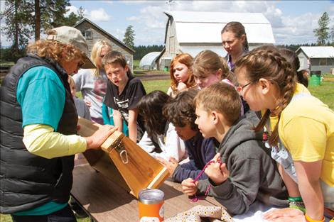 Local beekeeper Carey Swanberg shows students bees from her hives and let them sample some honey they made.