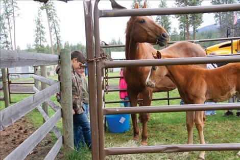 Fourth graders got to see this 19-year-old horse and her foal up close during the ag days event.