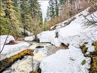 Spring snowpack report released